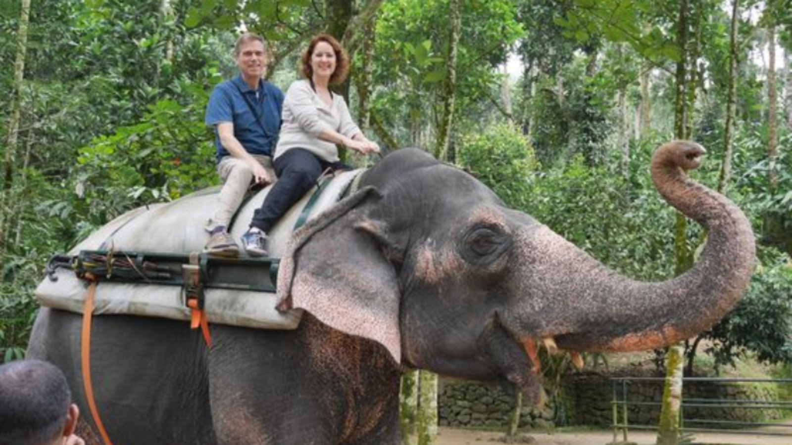 Thekkady tourist place