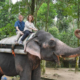 Thekkady tourist place