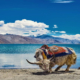 best time to visit Ladakh